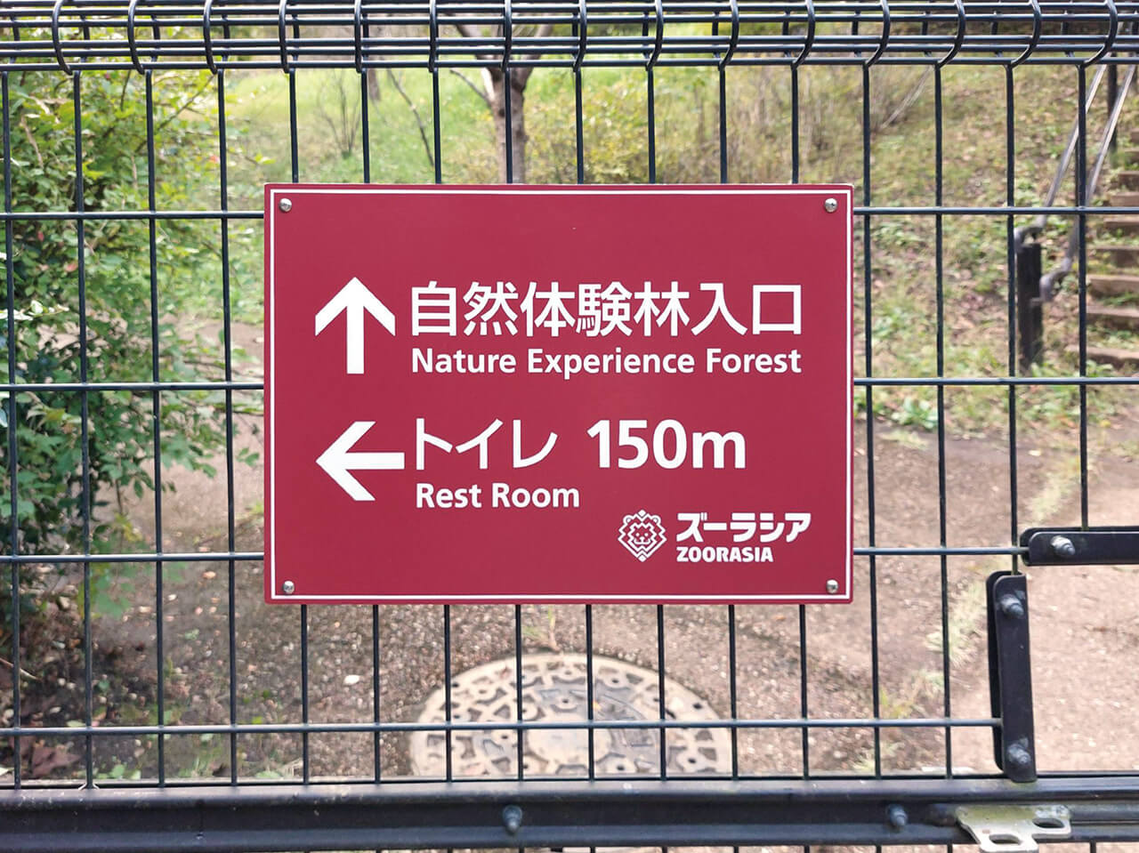 横浜ズーラシア｜案内看板・プレート看板・伝わるデザイン