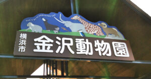 金沢動物園｜入場ゲート上木製看板の改修・立体文字・デザイン制作