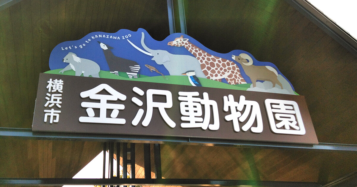 金沢動物園｜入場ゲート上木製看板の改修・立体文字・デザイン制作